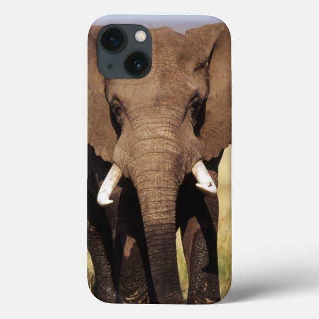 African Bush Elephant Case-Mate iPhone Case (Back)