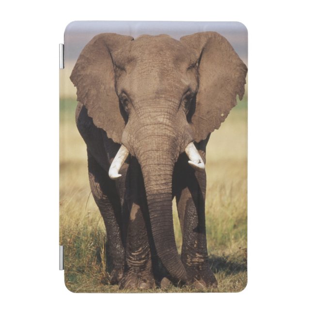 African Bush Elephant iPad Mini Cover (Front)