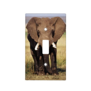 African Bush Elephant Light Switch Cover