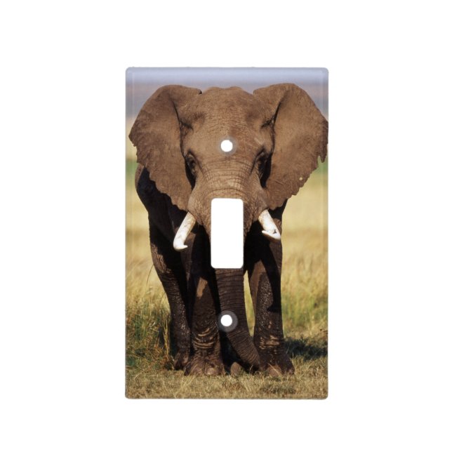 African Bush Elephant Light Switch Cover (Front)