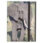 African Bush Elephant (Loxodonta Africana) 2 Cover For iPad Air (Front Closed)