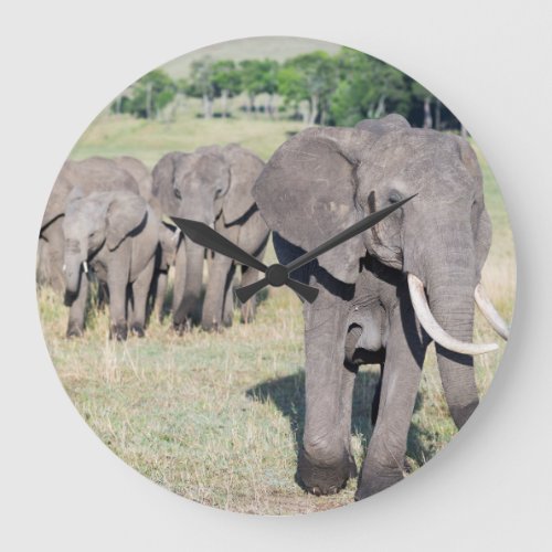 African Bush Elephant Loxodonta Africana 2 Large Clock