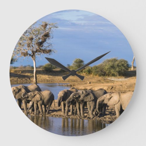 African Bush Elephant Loxodonta Africana Herd Large Clock