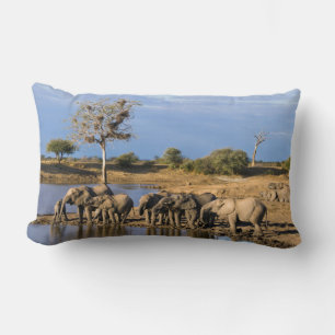 African Bush Elephant (Loxodonta Africana) Herd Lumbar Pillow