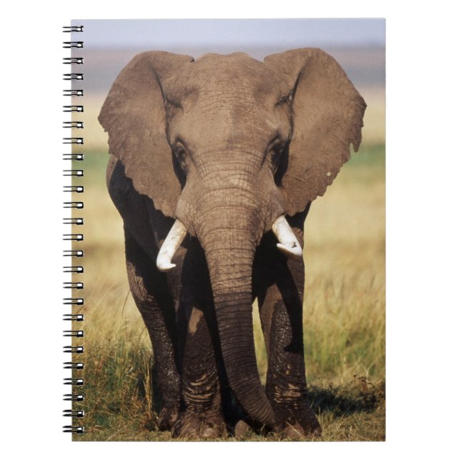 African Bush Elephant Notebook (Front)