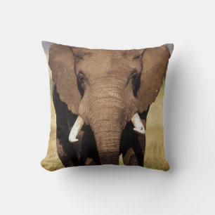 African Bush Elephant Throw Pillow