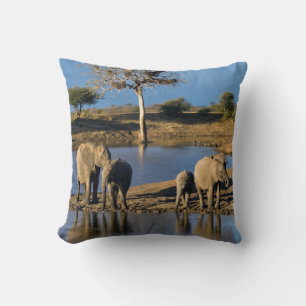 African Bush Elephants (Loxodonta Africana) Throw Pillow