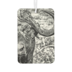 African Cape Buffalo Portrait Air Freshener