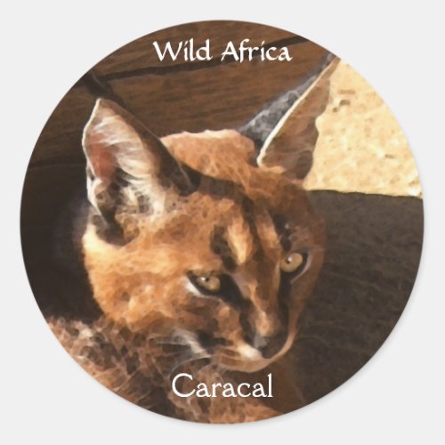 AFRICAN CARACAL WildCat Wildlife Stickers