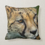 African Cheetah Portrait Art Designer Pillow