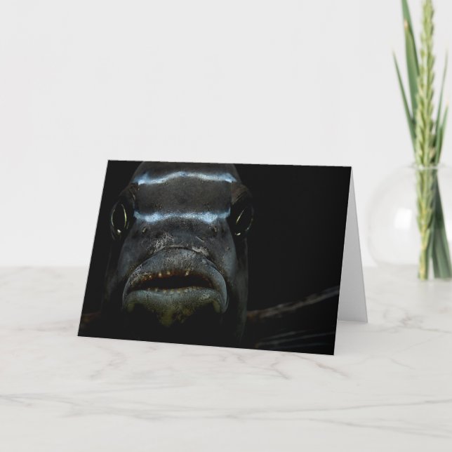 African Cichlid Greeting Card (Front)
