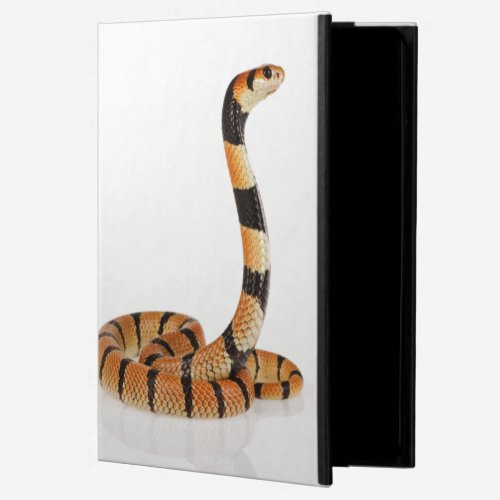 African coral snake (Aspidelaps lubricus) iPad Air Cover