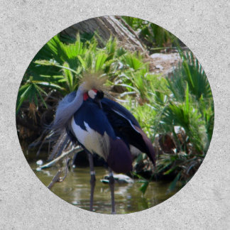 African crowned crane patch