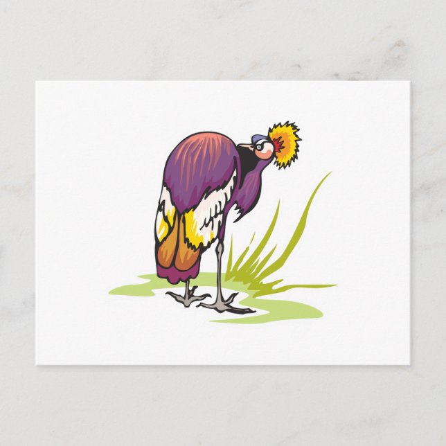 african crowned crane postcard (Front)