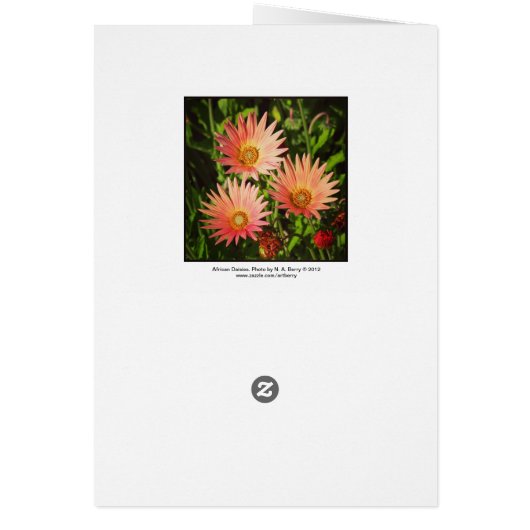 African Daisies (Back)