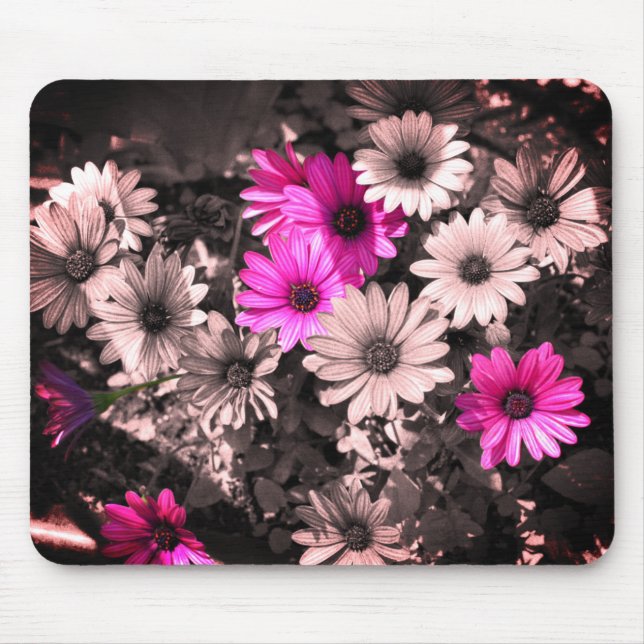 African Daisies Flower Art Mouse Pad (Front)