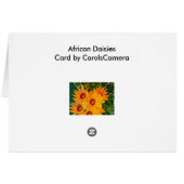 African Daisies Note Card (Back Horizontal)