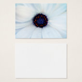 African daisy (Front & Back)