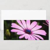 African Daisy (Front/Back)