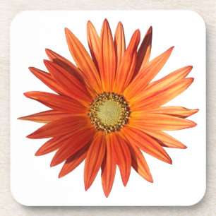 African Daisy Beverage Coaster