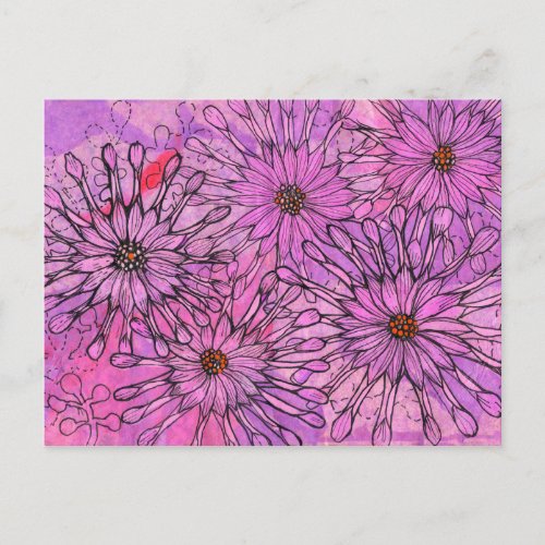 African Daisy Cape Daisies Pink Flowers Floral Art Postcard