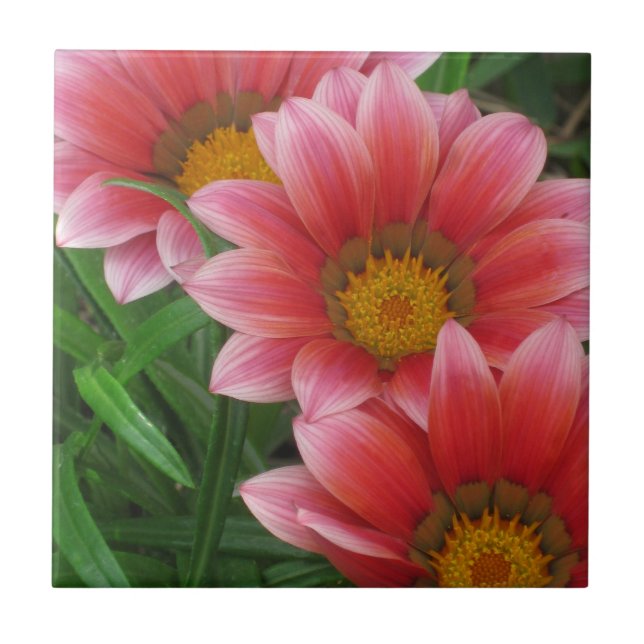 African Daisy Ceramic Tile (Front)