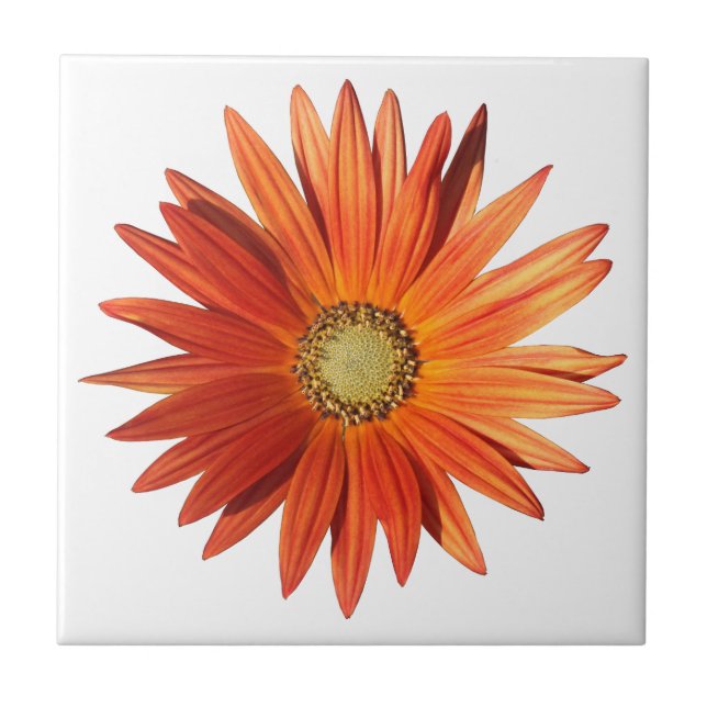 African Daisy Ceramic Tile (Front)