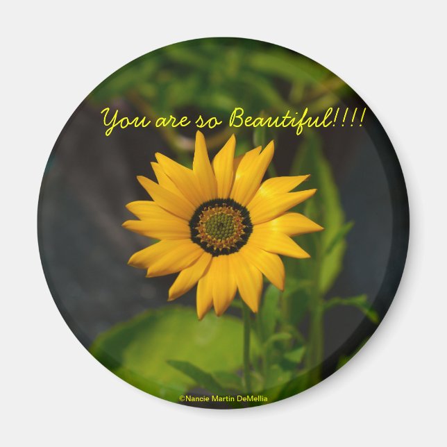 African Daisy-Circle Magnet (Front)