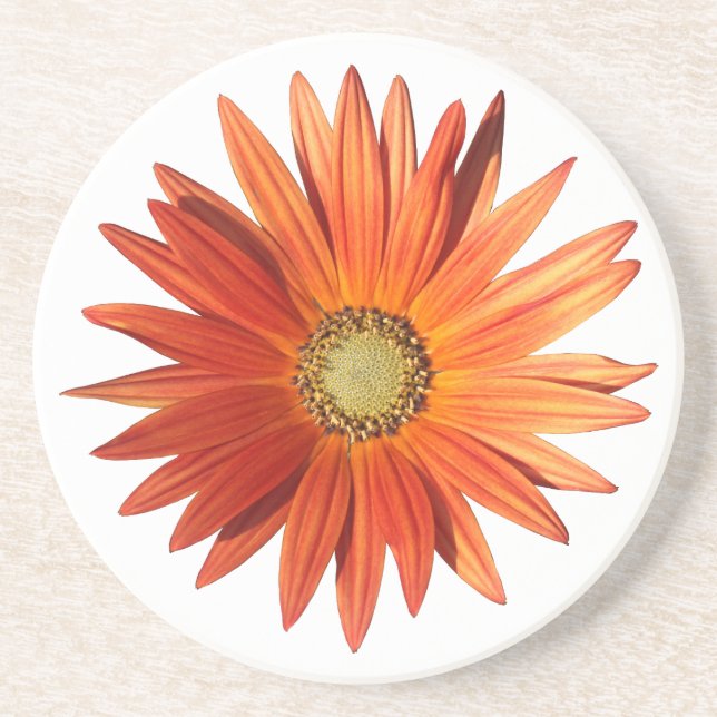 African Daisy Coaster (Front)
