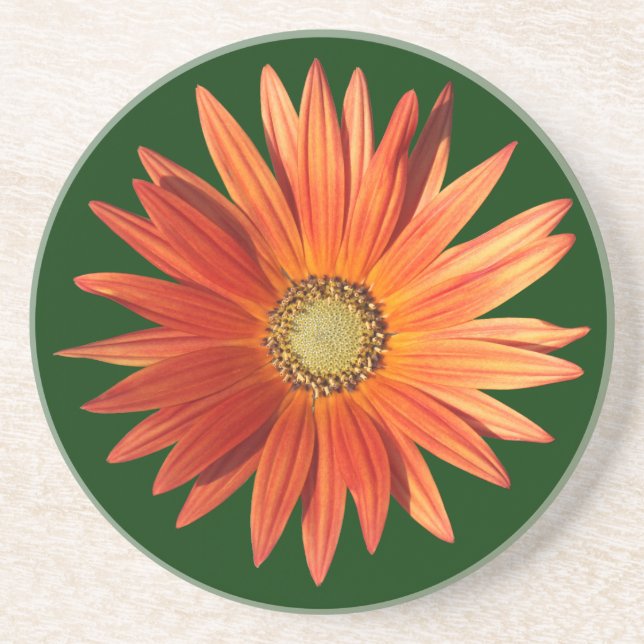 African Daisy Drink Coaster (Front)