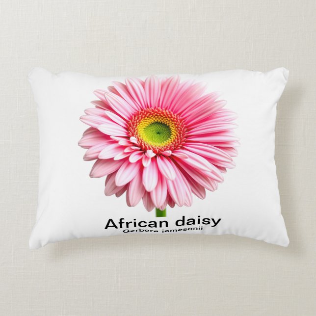 African daisy flower accent pillow (Front)