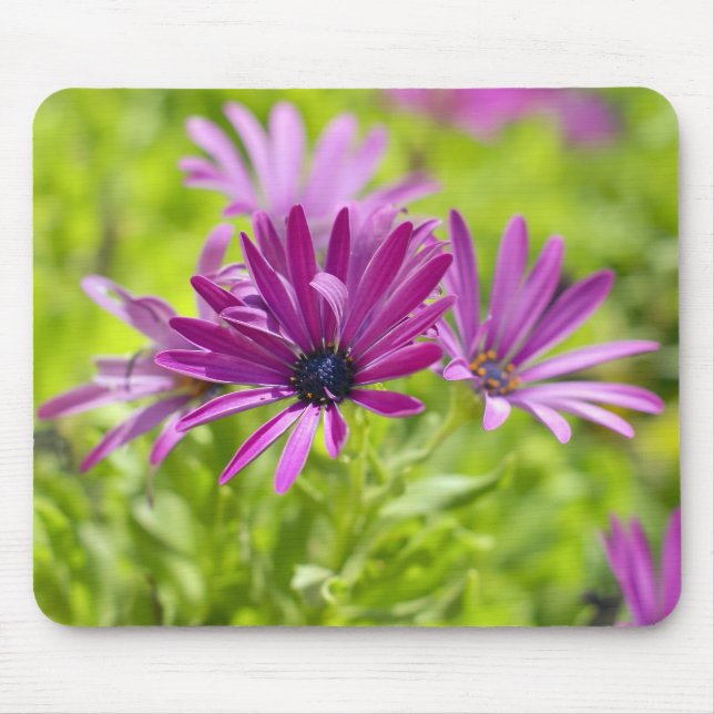 African Daisy Flower  Mousepad (Front)