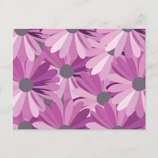 African Daisy Flower Purple