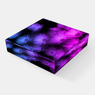 African Daisy Flowers Abstract Paperweight