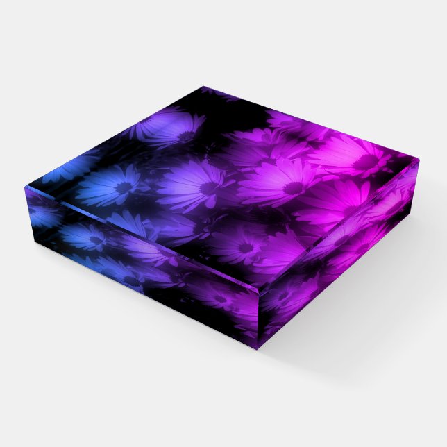 African Daisy Flowers Abstract Paperweight (Angled)