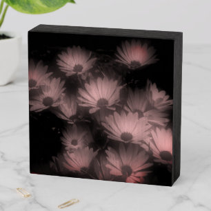 African Daisy Flowers Black White High Contrast Wooden Box Sign