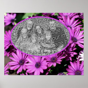 African Daisy Flowers Frame Create Your Own Photo Poster