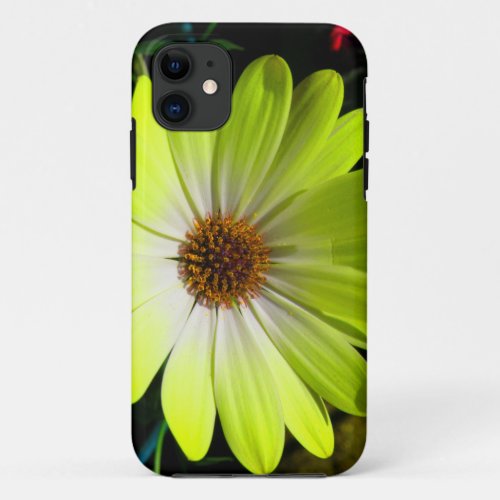 African Daisy Fluorescent Yellow iPhone 11 Case