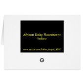 African Daisy Fluorescent Yellow Greeting Card (Back Horizontal)