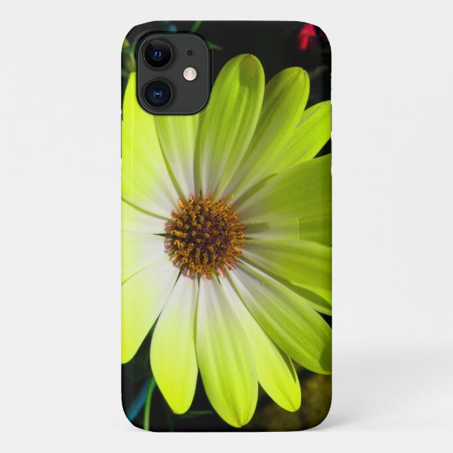 African Daisy Fluorescent Yellow iPhone 3 Case (Back)