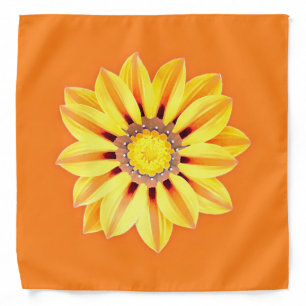 African Daisy / Gazania - Orange and Yellow Bandana