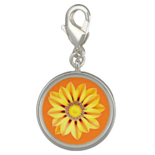 African Daisy / Gazania - Orange and Yellow Charm