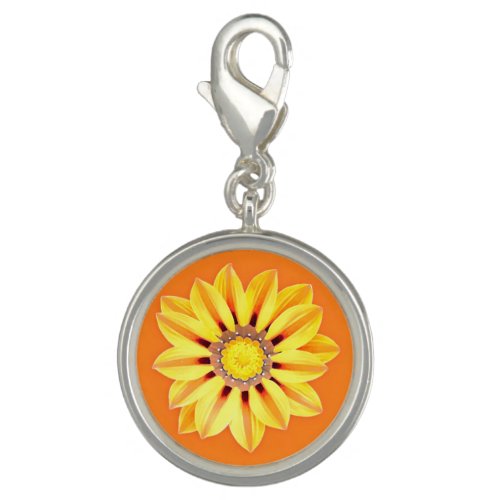 African Daisy  Gazania _ Orange and Yellow Charm