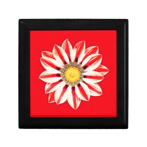 African Daisy  Gazania _ Red and White Striped Gift Box