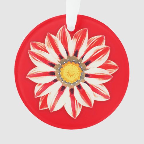 African Daisy  Gazania _ Red and White Striped Ornament