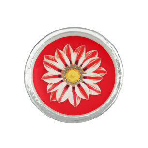 African Daisy / Gazania - Red and White Striped Ring