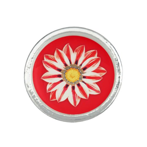 African Daisy  Gazania _ Red and White Striped Ring