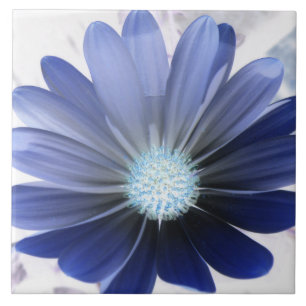 African Daisy Glowing Blue Tile