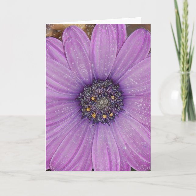 African Daisy Greeting Card (Front)