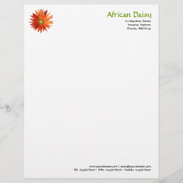 African Daisy Letterhead